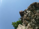 picture thumbnail