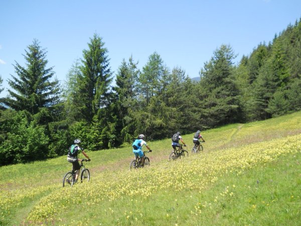 I miei soci pedalano Verso Stava