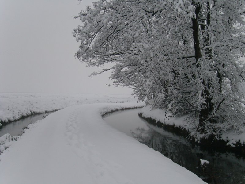 Una nevicata in pianura Padana